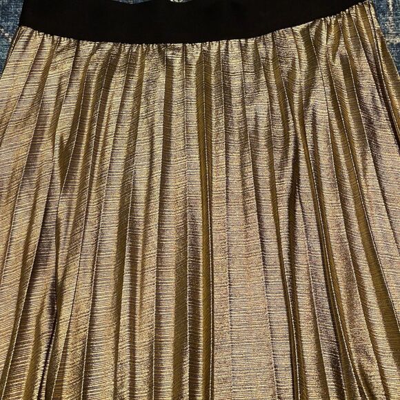 Time And Tru Womens Skirt Sz Large Sz 12-14 Midi Metallic Pleated Fall Autumn - Picture 4 of 10